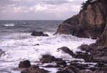 新潟県の瓢湖と笹川流れ/03