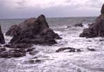 新潟県の瓢湖と笹川流れ/04