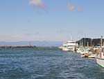 桜島と開聞岳(鹿児島県)